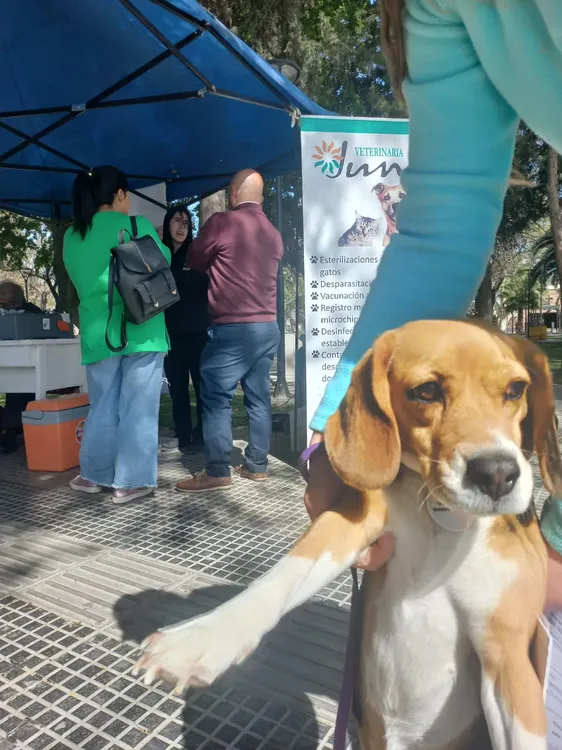 94bab5cc-9435-4d3e-93dd-6cf5b400154e