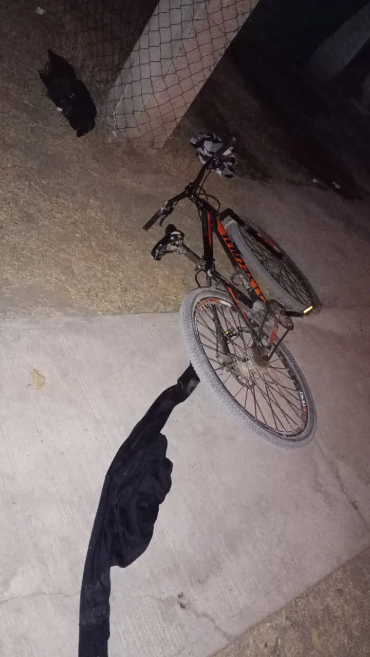 216677f9-ce7e-4667-b649-c60a88251ceb