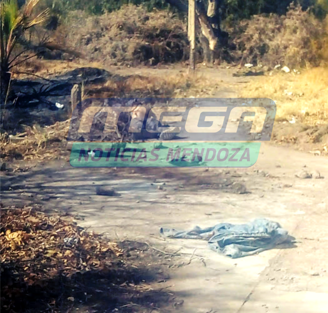 crimen alto verde (1)