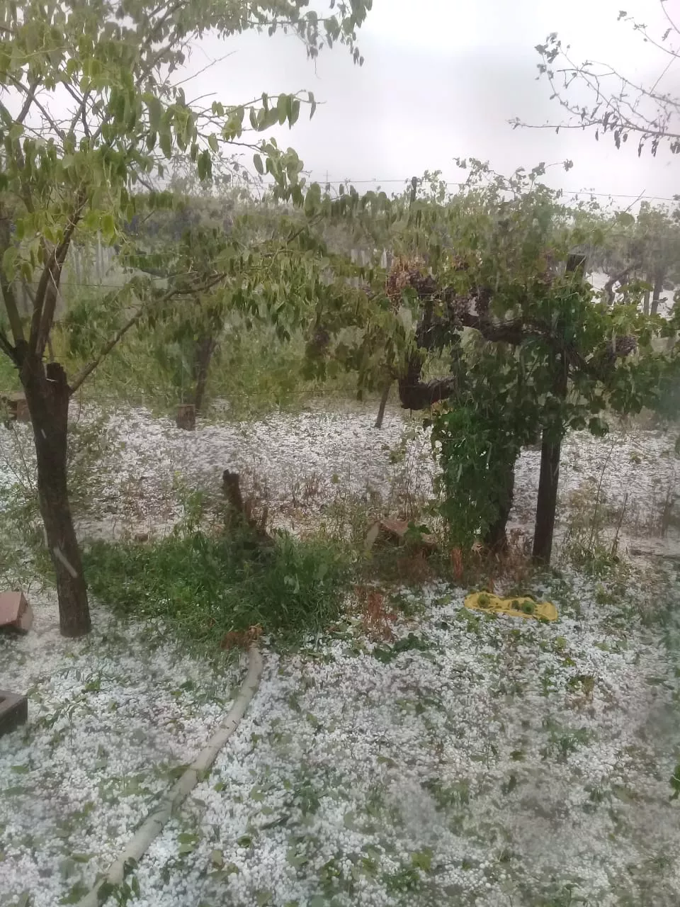 WhatsApp Image 2023-01-31 at 20.43.52(1)