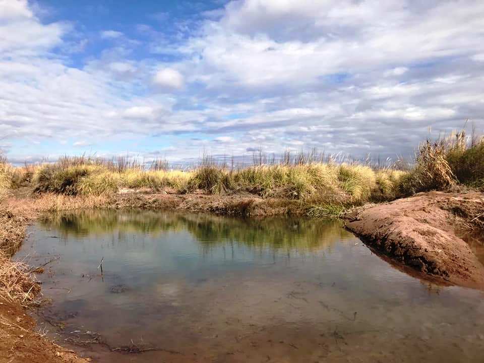 65592263_2239269683070370_8387236616942387200_n