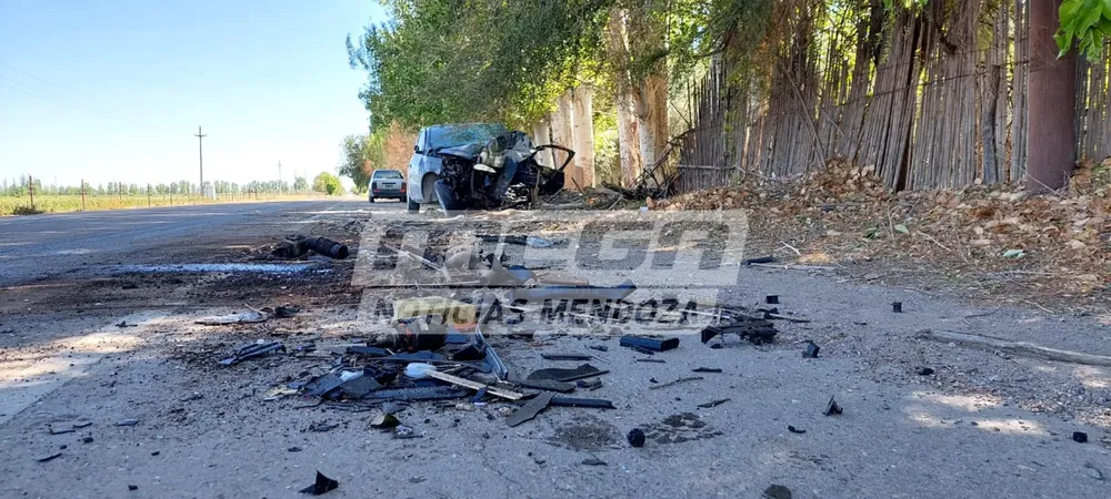 estéreo_20231105_114529_0000