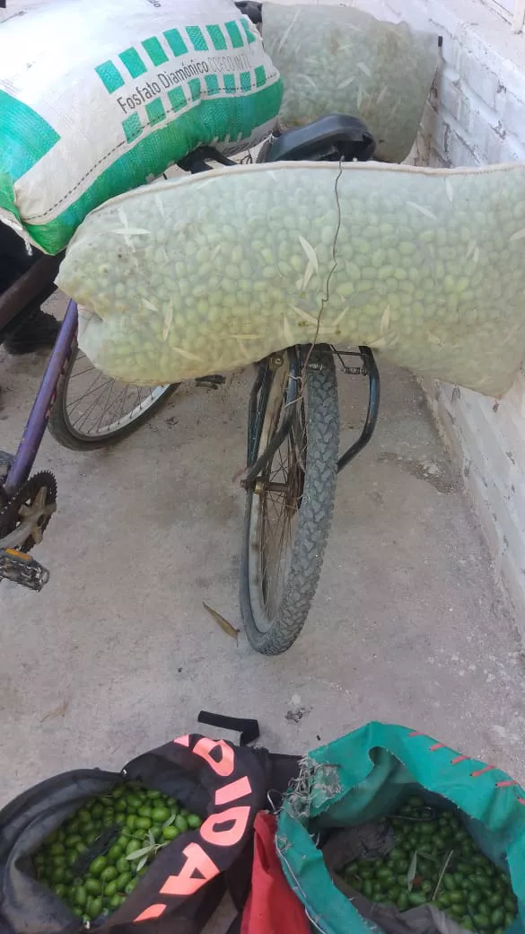 159a9ebe-db8b-4492-9b23-37edf1a624d2