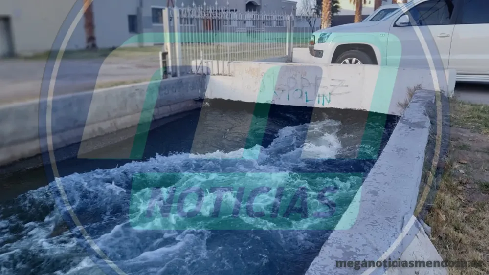 falucho y primavera_20230820_091200_0000