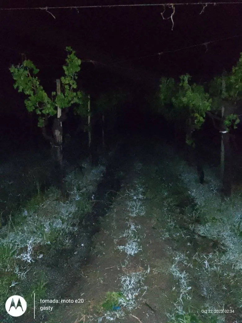 391652382_1072555887499034_4616192047144761296_n