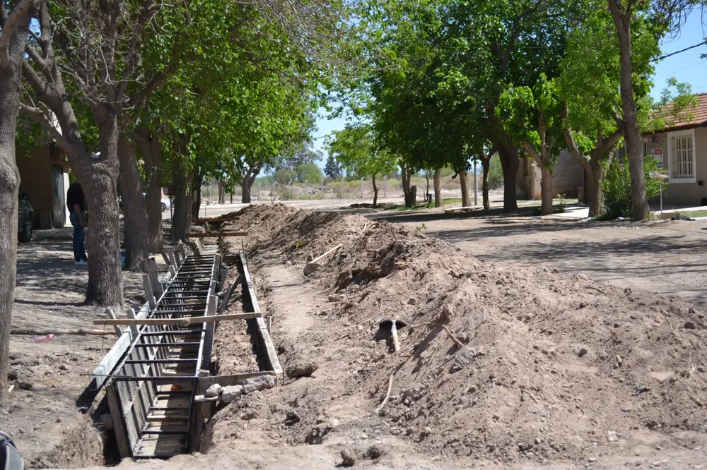 WhatsApp Image 2023-10-10 at 12.14.39