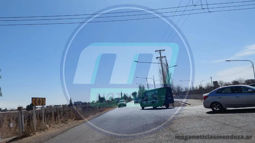 falucho y primavera (1)