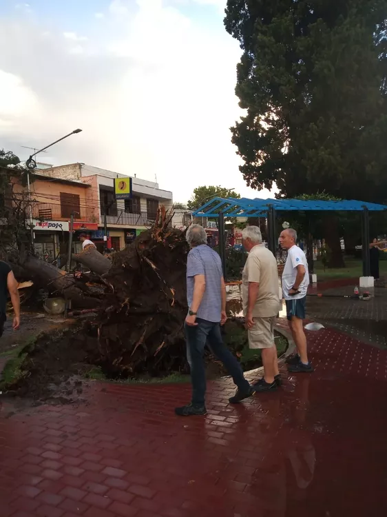 WhatsApp Image 2023-01-31 at 20.47.13