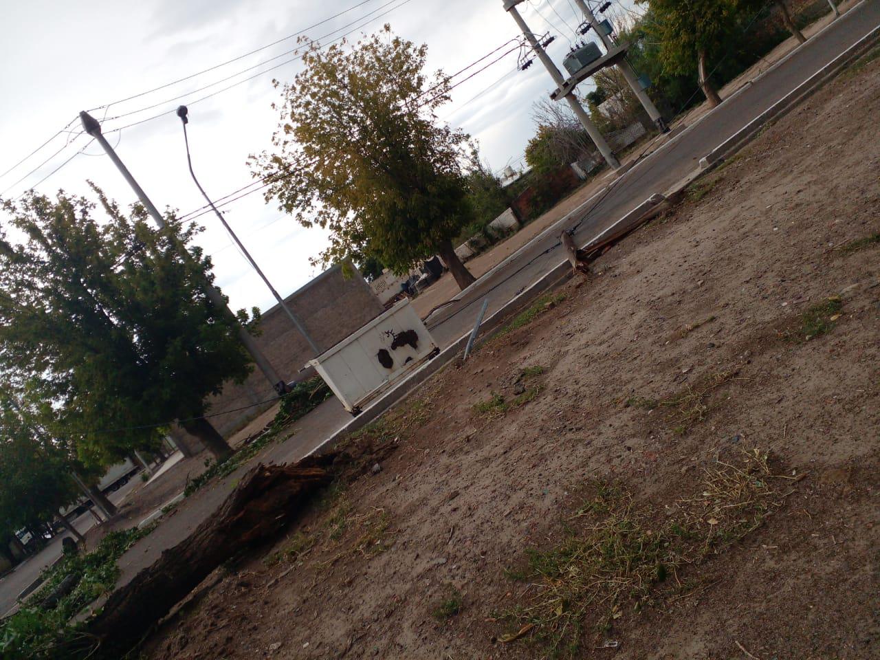 IMG-20220211-WA0001