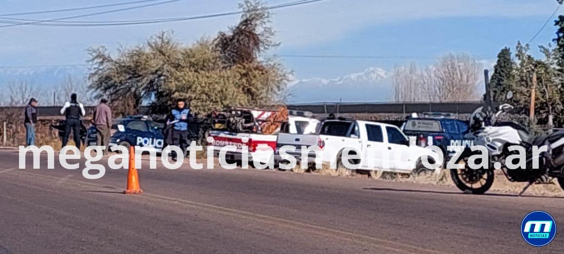 WhatsApp Image 2022-06-17 at 11.44.57 AM (1)