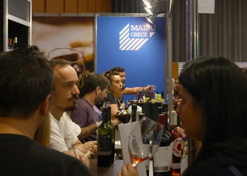 Maipú Turismo Stevanato 4