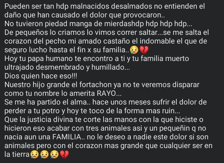 WhatsApp Image 2022-08-11 at 3.35.57 PM