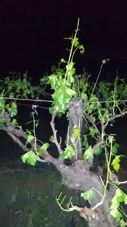 391649306_1072555957499027_5129567256419292469_n