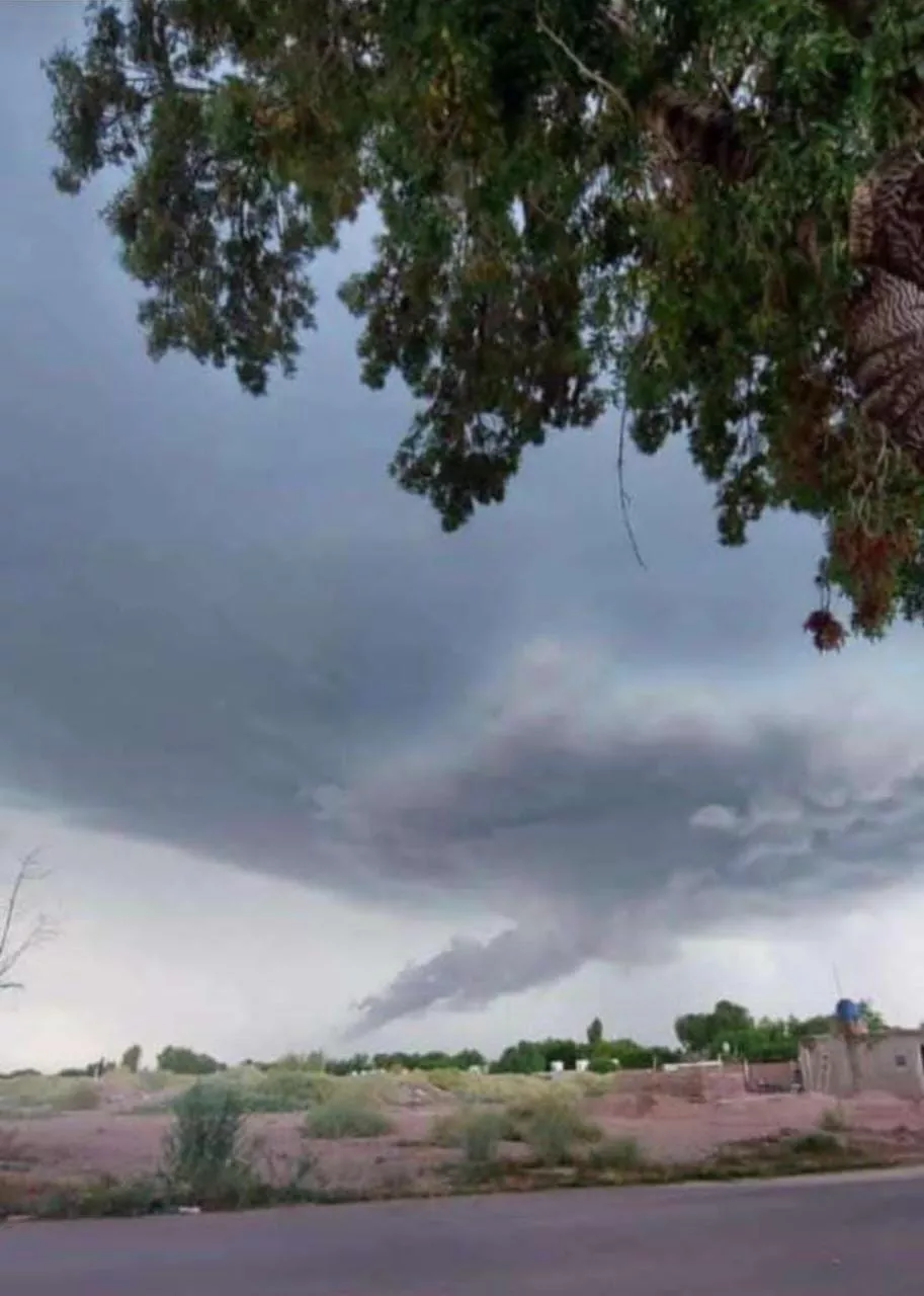 WhatsApp Image 2023-01-31 at 20.47.09