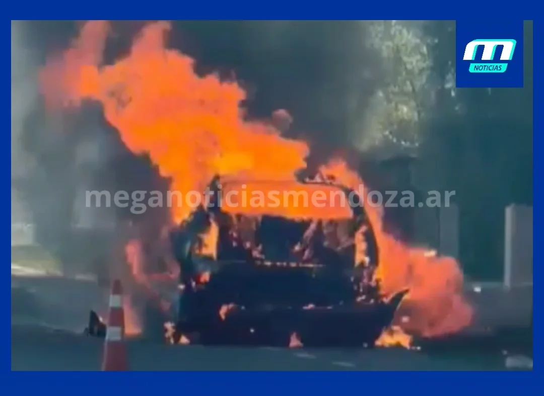 Añadir un título_20260401_204248_0000