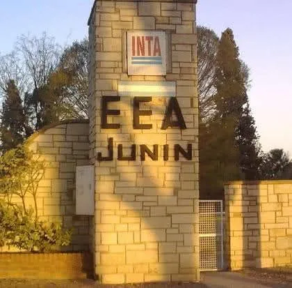 514650186_1540275780727040_3257683884415312406_n