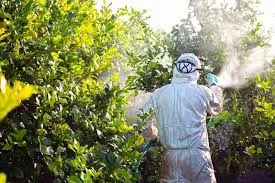 WhatsApp Image 2025-06-02 at 11.14.50 AM