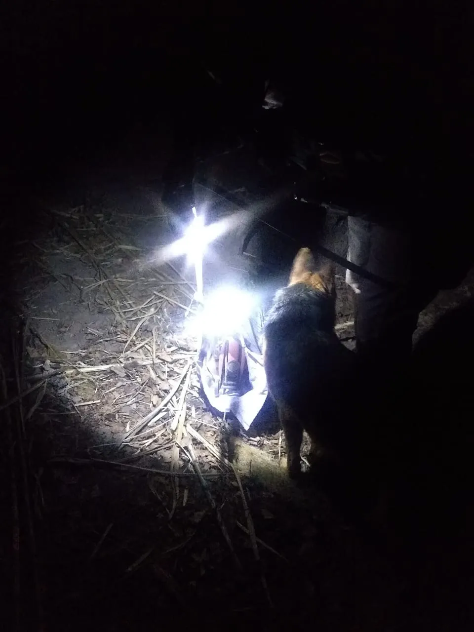 WhatsApp Image 2024-09-03 at 08.02.15