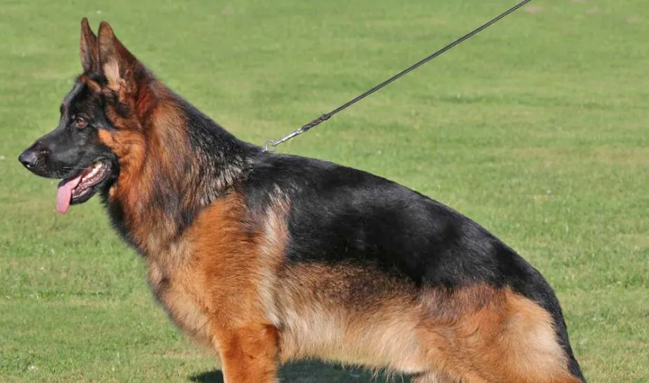 489594_20190601001703