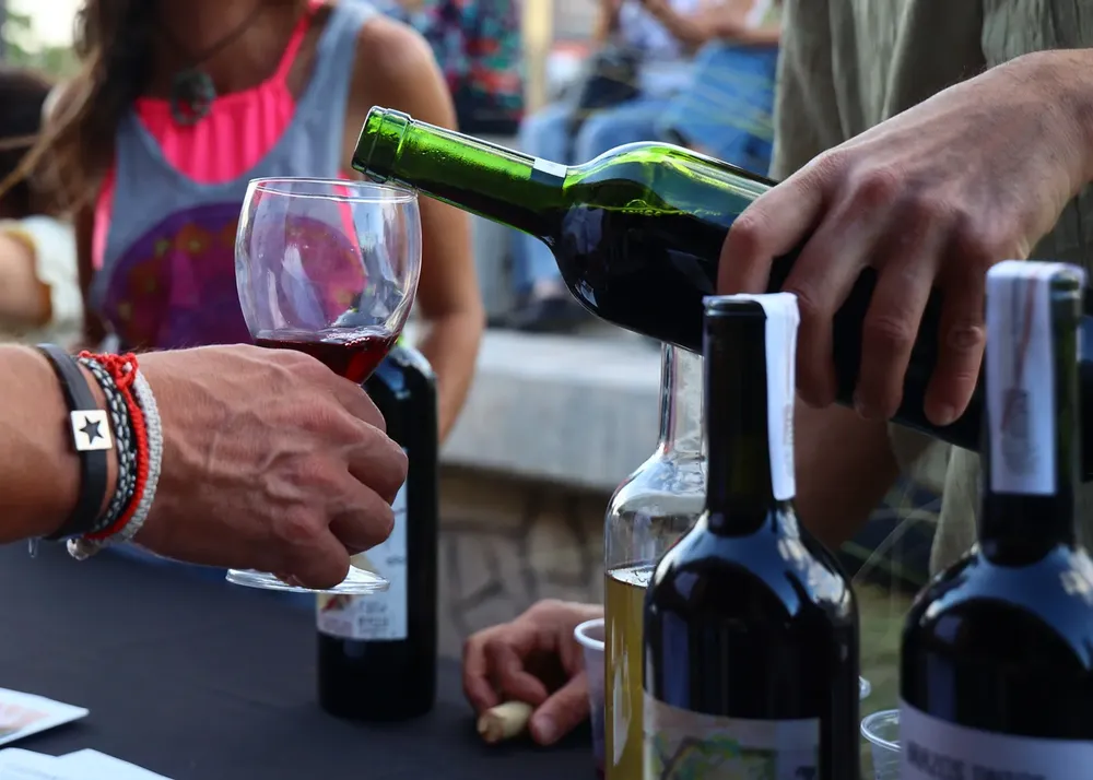 Vino Maipú 7