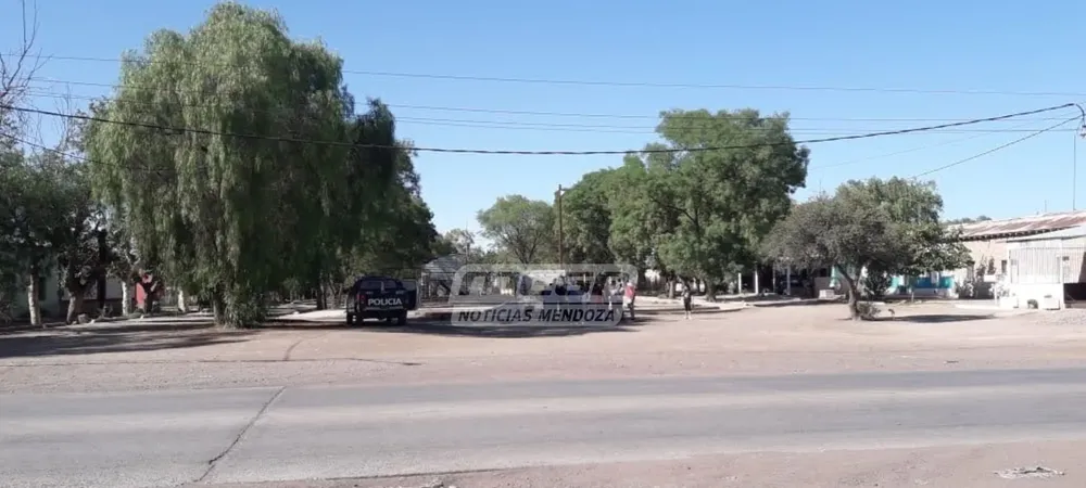 colonia traccion palmira