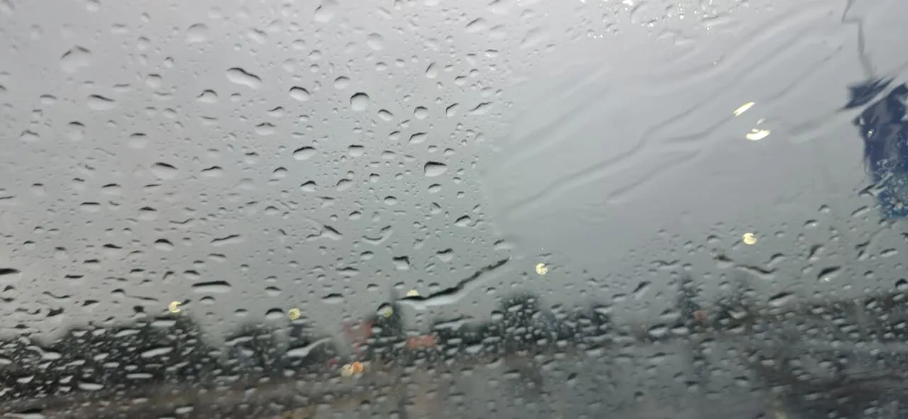 WhatsApp Image 2026-01-08 at 07.47.07