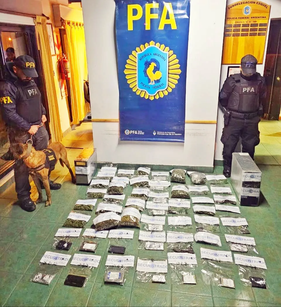 Operativo-de-drogas-poliica-federal-1