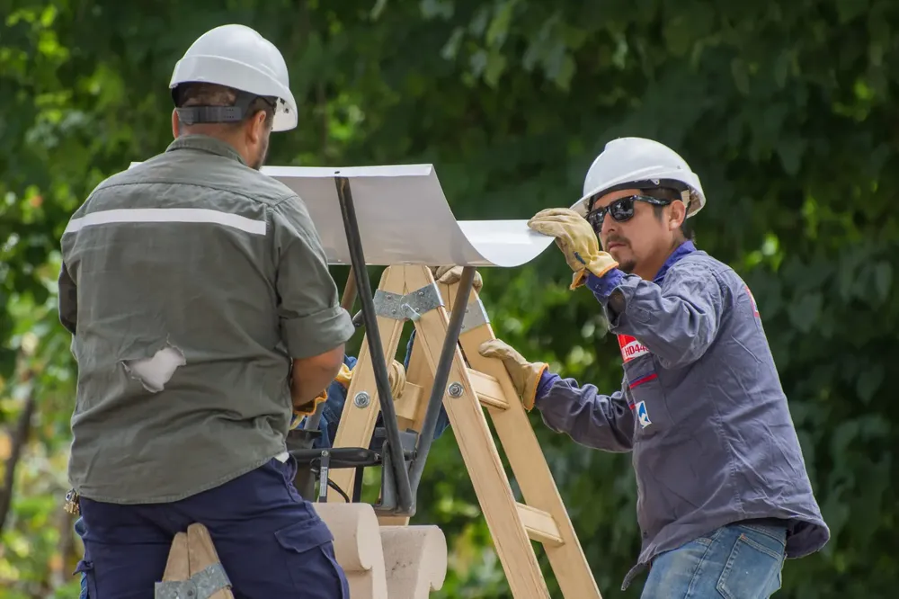 WhatsApp Image 2024-11-28 at 10.02.02 (1)