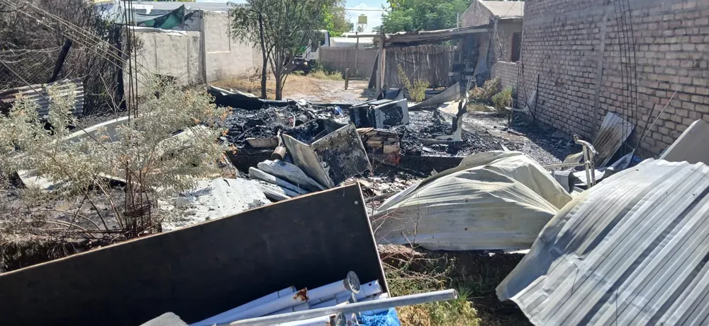 WhatsApp Image 2025-03-02 at 18.55.09