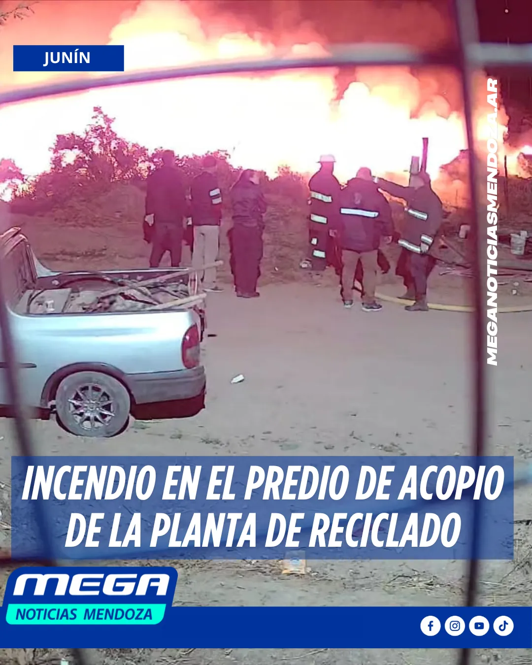 PLANTA