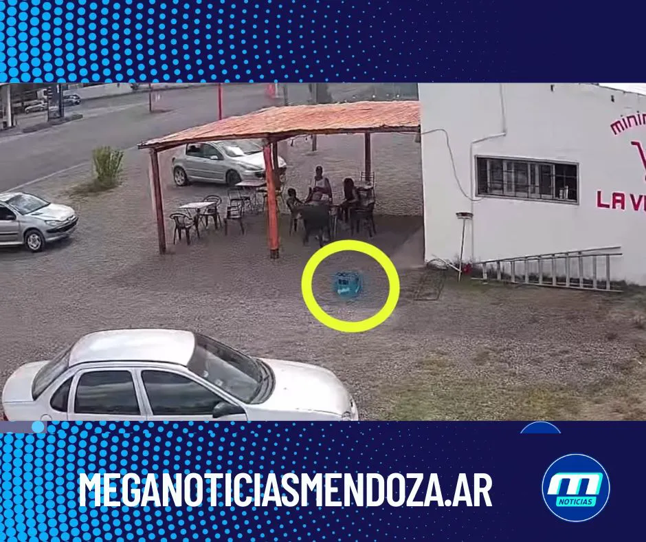 MOTO (3)