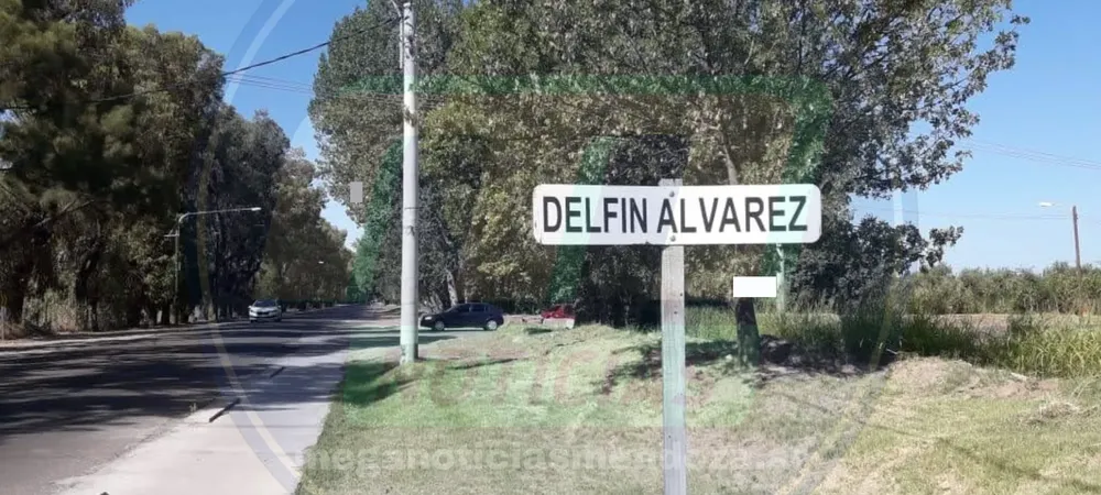 delfin alvarez