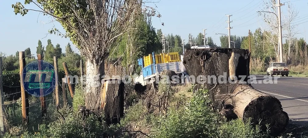 speziale_20250219_085324_0000