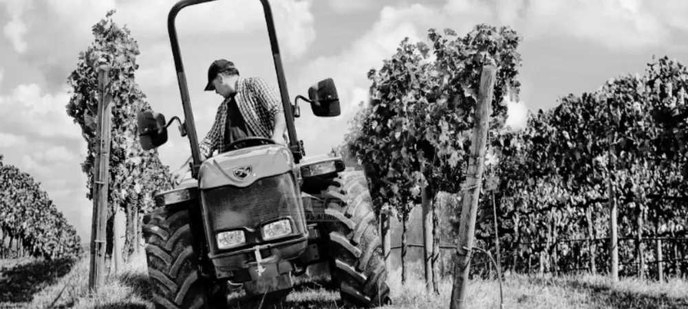 tractor finca viña