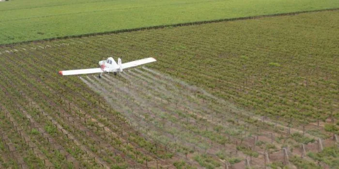 Avion-lobesia-700x350