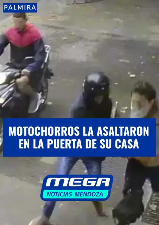 MOTO (6)