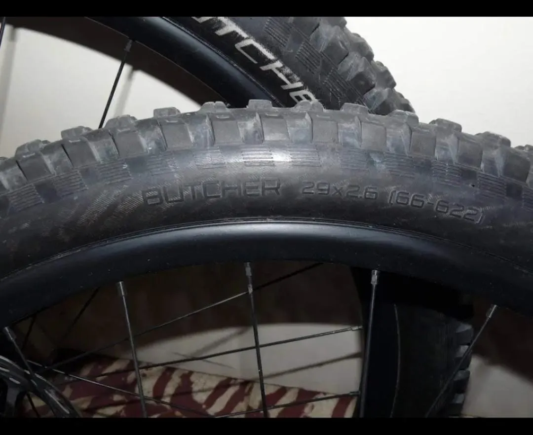 WhatsApp Image 2026-02-07 at 07.29.43