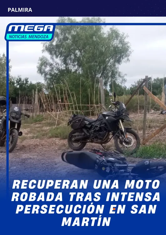MOTO (12)