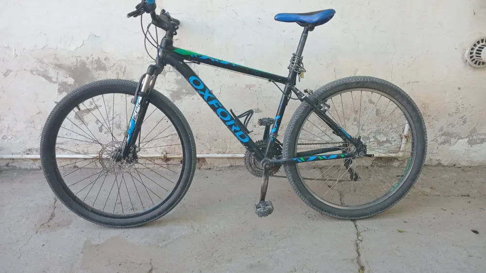 WhatsApp Image 2024-12-28 at 17.50.54