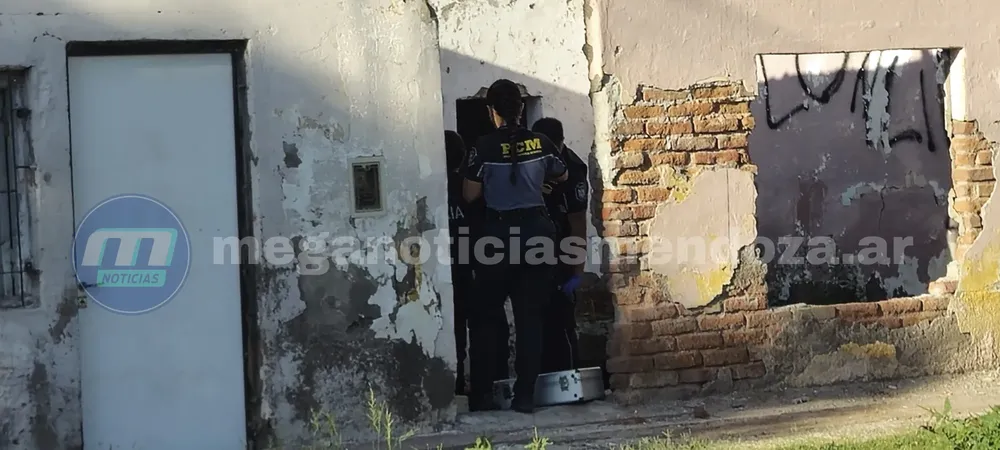 arma junin (1)