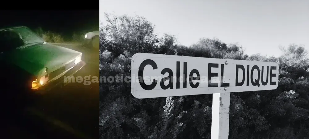 el dique