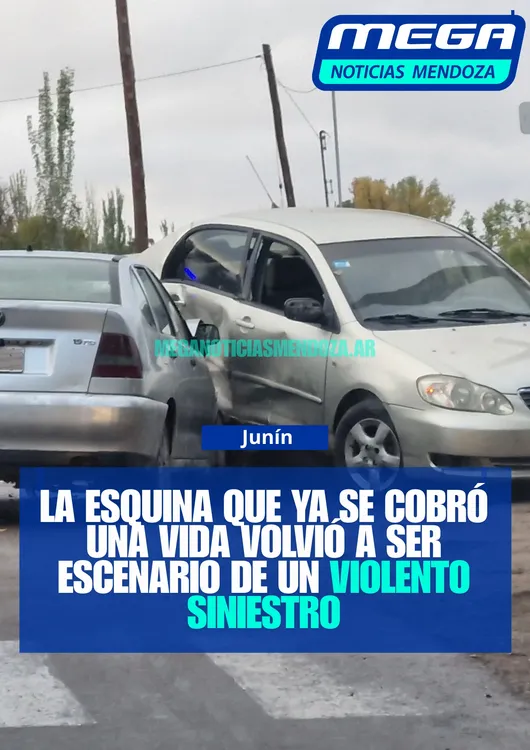 CORREAS