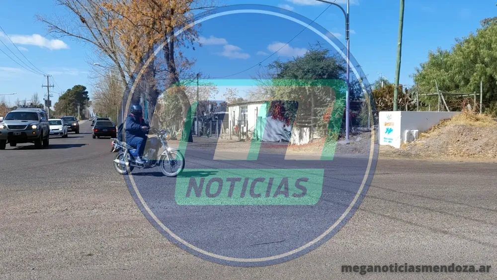 falucho y primavera