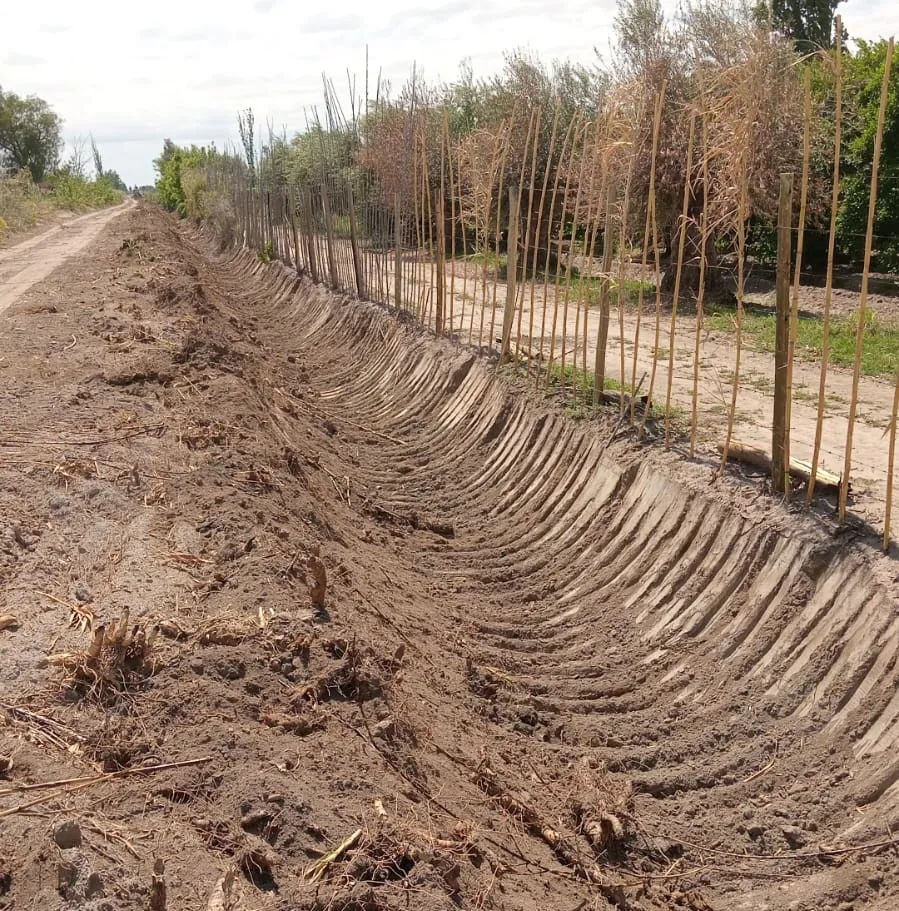 WhatsApp Image 2024-10-17 at 13.23.02