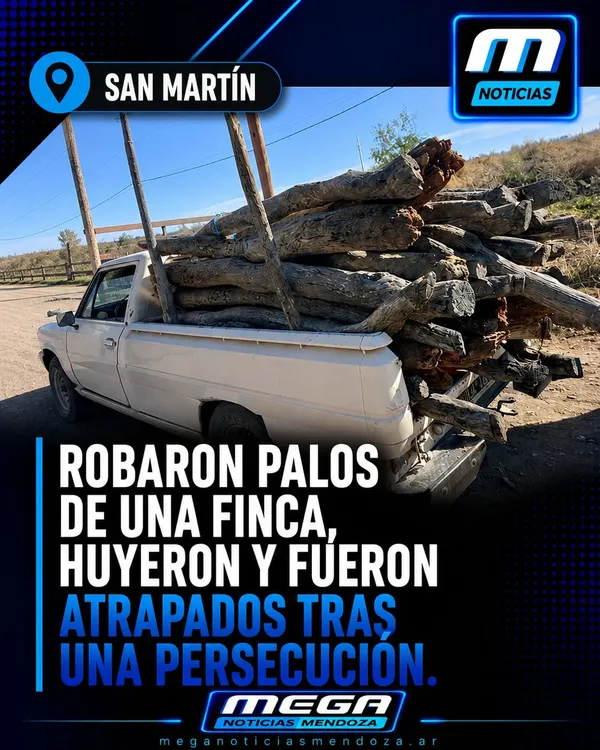WhatsApp Image 2026-06-30 at 19.30.10