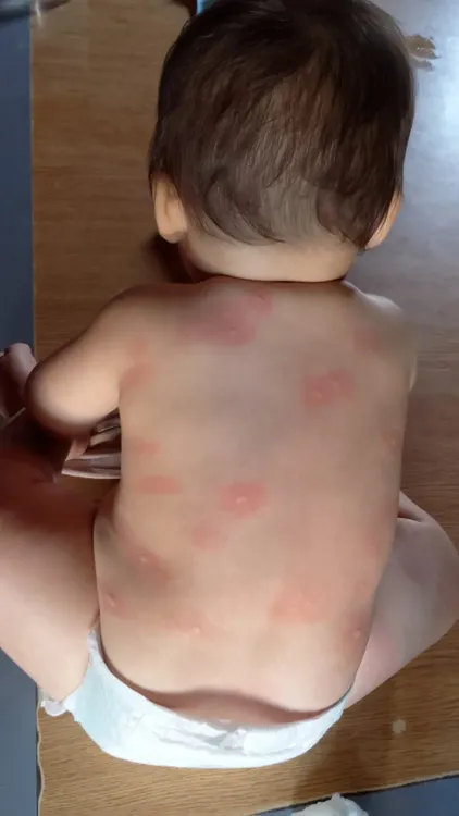 WhatsApp Image 2026-02-09 at 21.41.01 (1)