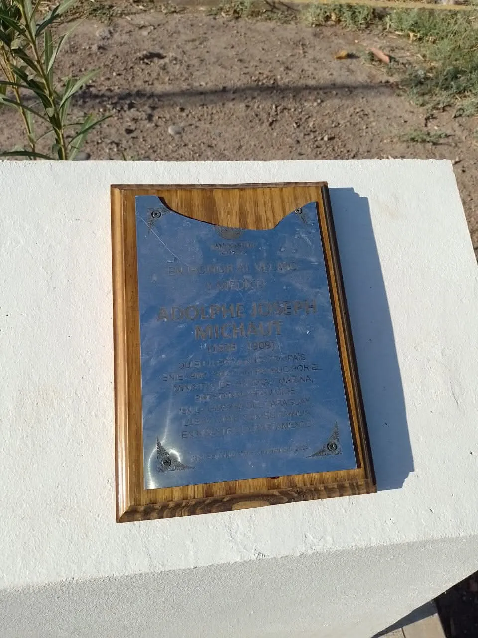 FB_IMG_1735310296497