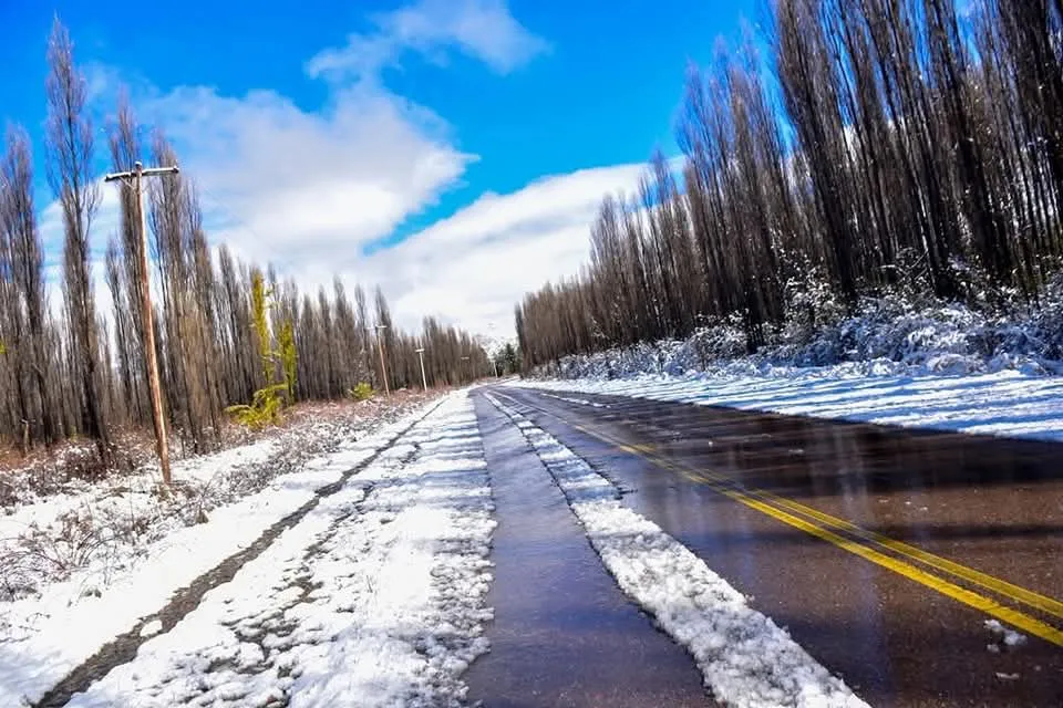 WhatsApp Image 2025-07-26 at 10.14.55