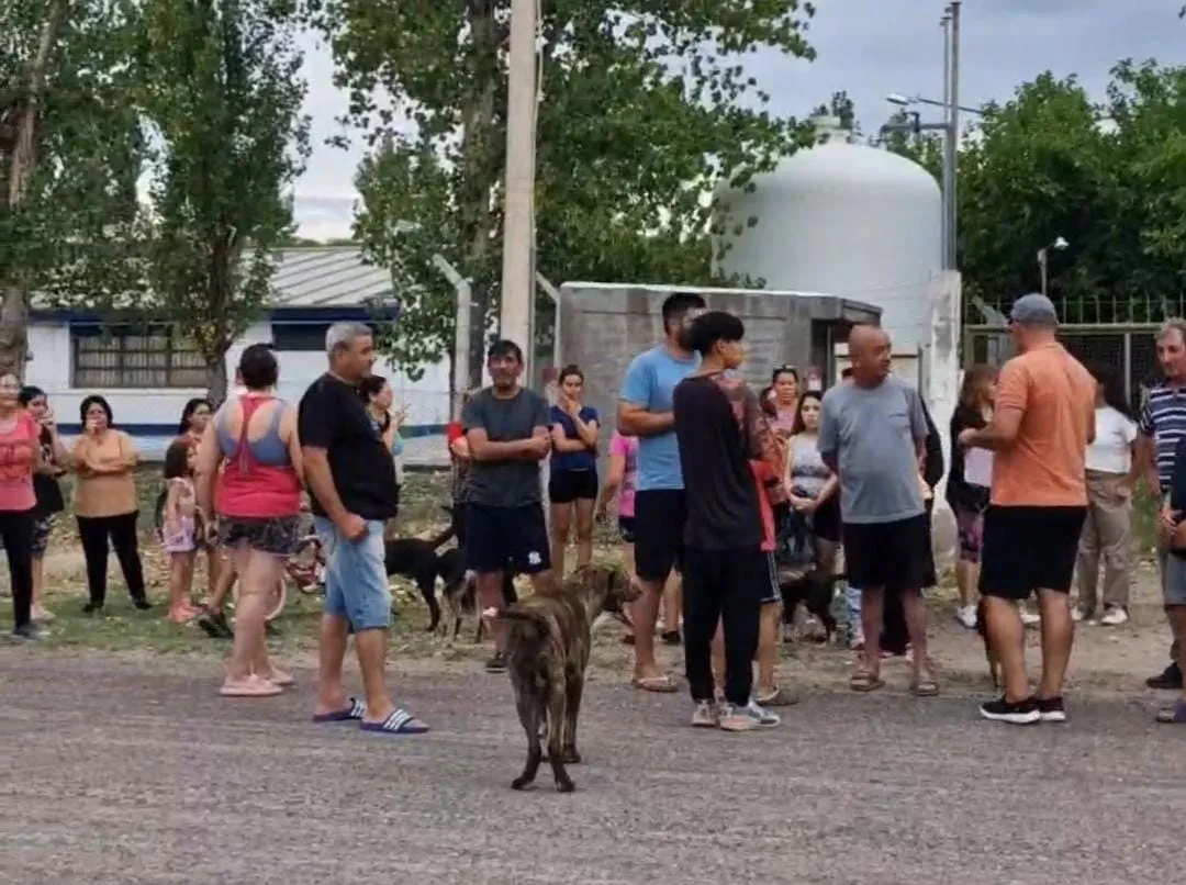 WhatsApp Image 2026-01-23 at 21.24.04