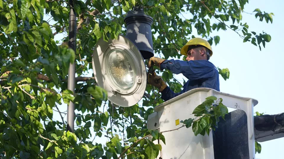 311410354_487108526789346_1008793693153918680_n